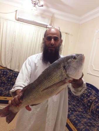أبوجراح: التنوع بالييمة.. يعطيك سبيطي راهي