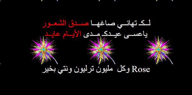 هاكر سعودي يخترق موقعا إلكترونيا للشرطة الأميركية ليبعث برسائل رومانسية لمحبوبته