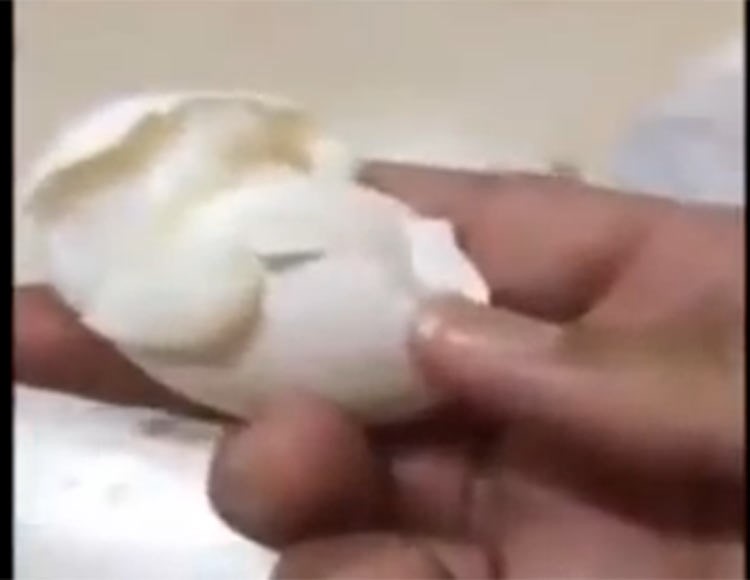 بالفيديو.. شاهد حرارة الطقس في الخليج كيف تسلق البيض 