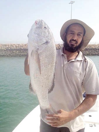 الراجحي: صيد خوارير الصبية «مغري» وأخطرها «أبو الطنابيخ»