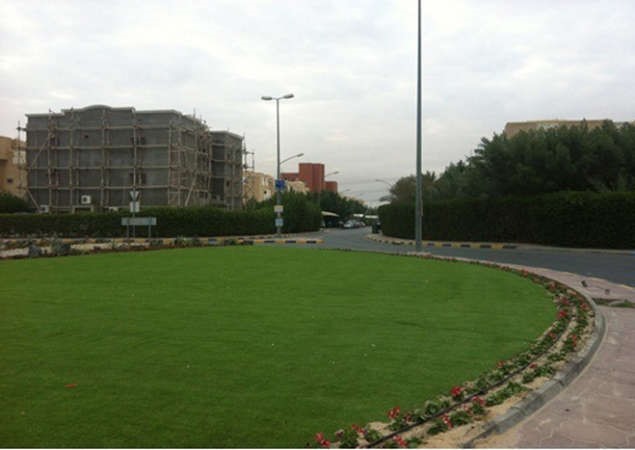 اعمال زراعية بدوار النهضة﻿