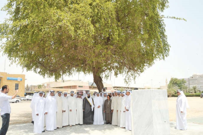 الحضور في لقطة تذكارية 