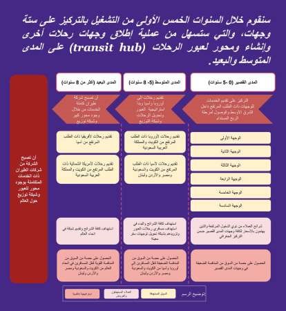 عرب: دعوة المساهمين للاكتتاب بـ«الخطوط الوطنية» قبل نهاية 2014