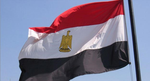 رفع علم مصر على جميع المصالح الحكومية والشركات الخاصة