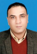 عمرو الجمال