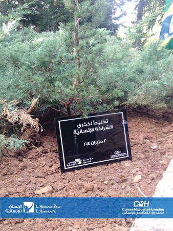 أرزة في «SOS» بحرصاف.. رمزاً للخلود الإنساني