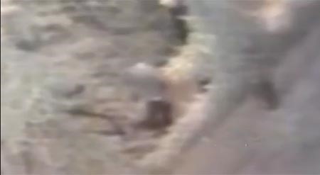 بالفيديو.. المشتبه به بقتل المبتعثة السعودية يتمشى 
