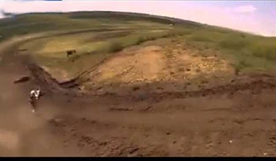 بالفيديو .. مصرع بقرة بعد تصادمها مع دراجة نارية