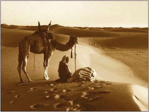 إن الموت لأحب مما تد عونني إليه