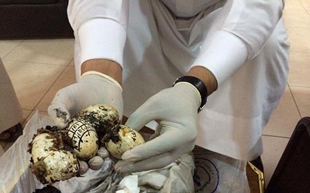 بالصور.. إبطال "جرّة" سحر عُثر عليها في قاع البحر في السعودية