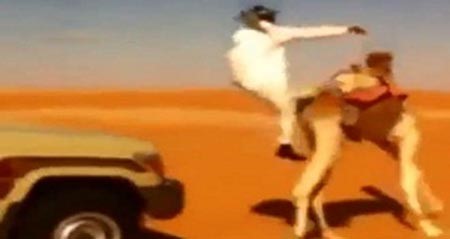 بالفيديو.. شاب يسقط من فوق ناقته تحت عجلات سيارة صديقه