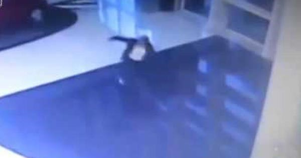 بالفيديو.. وقعت في حوض السباحة بسبب انشغالها بالهاتف 