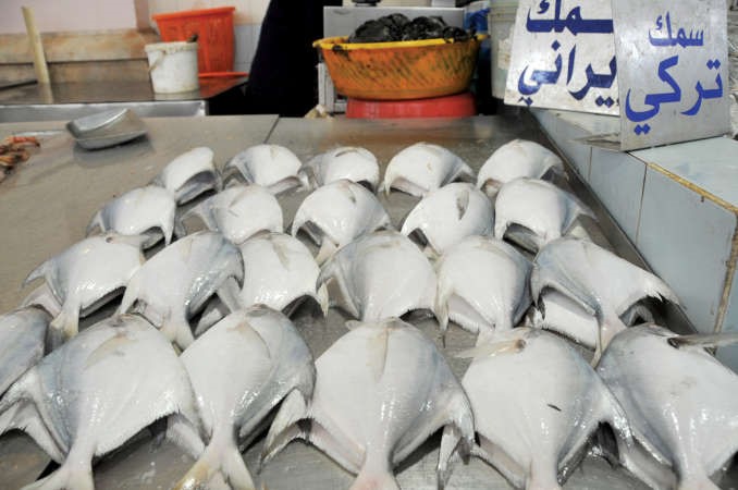 زبيدي ايراني ﻿