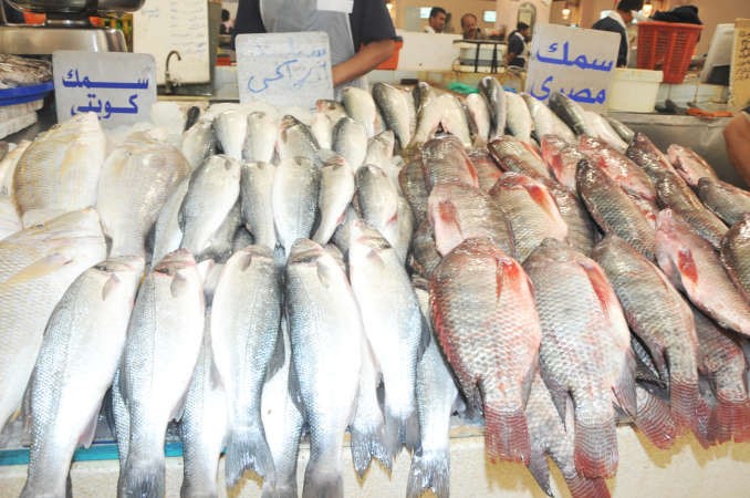 السمك معروض والرواد قليل﻿