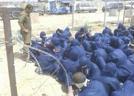 بالصور.. "ديلي ميل" تنشر صوراً صادمة لتعرية أسرى فلسطينيين من قبل الجيش الإسرائيلي وإهانتهم