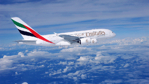 fly-emgif