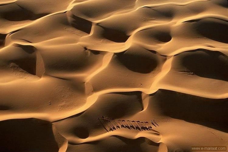 قافلة في الكثبان الرملية موريتانيا
