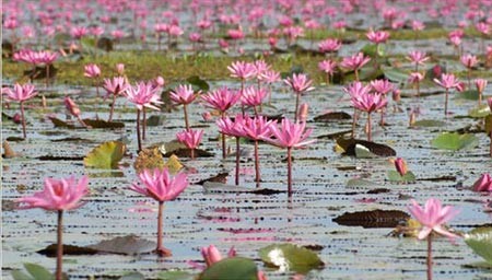 Lake Nong Harn