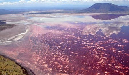 Lake Natron