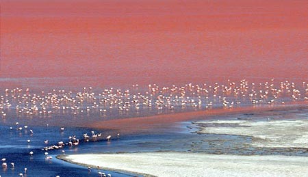 Laguna Colorada