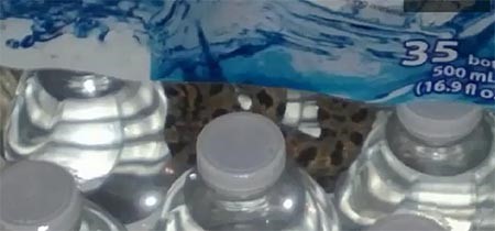 بالفيديو.. عائلة تعثر على أفعى في رزمة عبوات المياه 