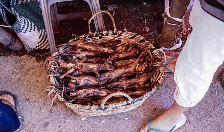 بالصور.. أكبر سوق تجاري في إندونيسيا لبيع الثعابين وأجنحة الخفافيش والفئران والكلاب المشوية