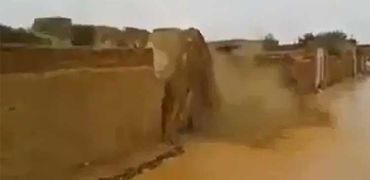 بالفيديو.. لحظة انهيار منزل بسبب الأمطار في السودان