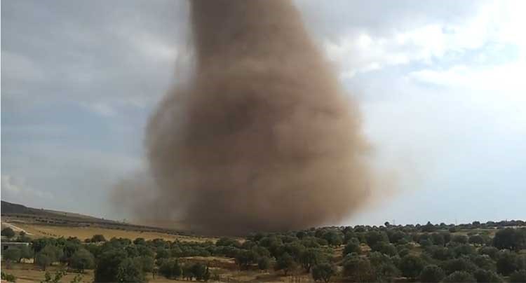 بالفيديو .. زوبعة ضخمة تثير الخوف بإحدى قرى الجزائر