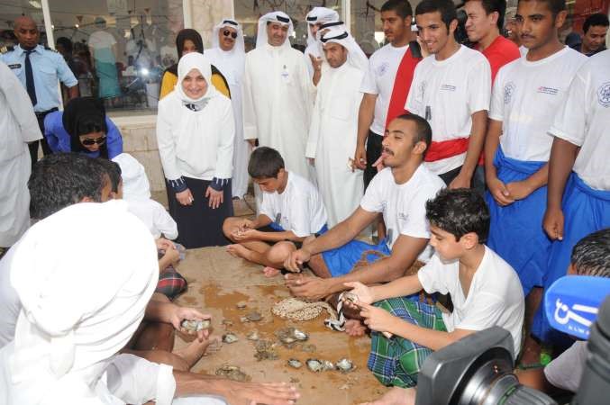 الوزيرة هند الصبيح تتابع فلق المحار بحثا عن اللؤلؤ﻿