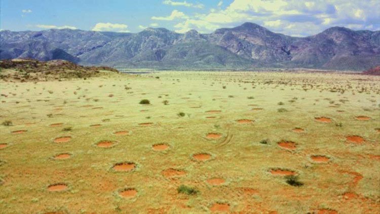 دوائر ناميبيا الخرافية
