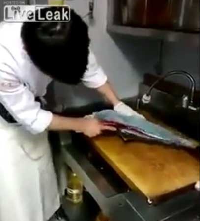 بالفيديو.. سمكة تأبى الموت رغم قطع رأسها وشطرها لنصفين!