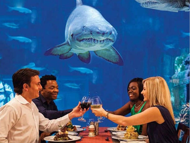 Cargo Hold restaurant بني هذا المطعم داخل مجسم مشابه للسفينة، ويمكن رؤية اسماك قرش وهي تحوم حولك خلال تناول الطاعم وراء حوض يمتد على مساحة حائط احد جدران المطعم الواقع في جنوب افريقيا