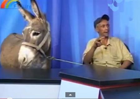 بالفيديو.."عزيزي الحمار تعرف شيء اسمه داعش؟".. والضيف يجيب على طريقته