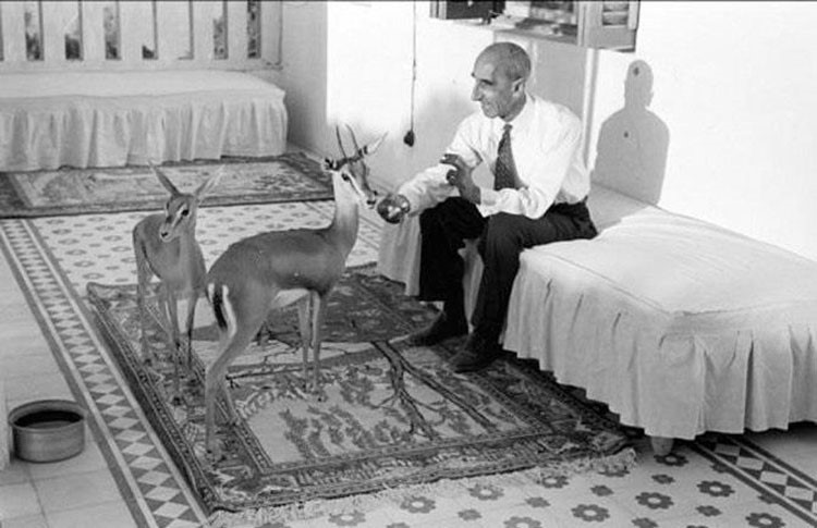 جورج غايرو سفير فرنسا في المملكة عام 1954