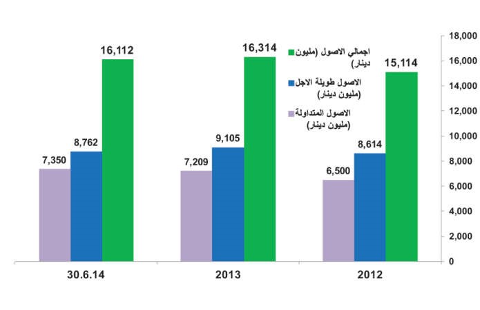 شركات الاستثمار إلى الساحة مجدداً.. كنجوم المضاربة