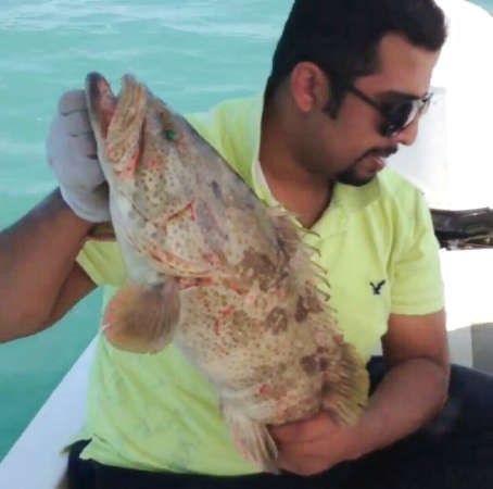 الخطاف: السبيطي.. يكفيك التعب
