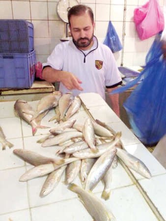 سمك تالف في المباركية 