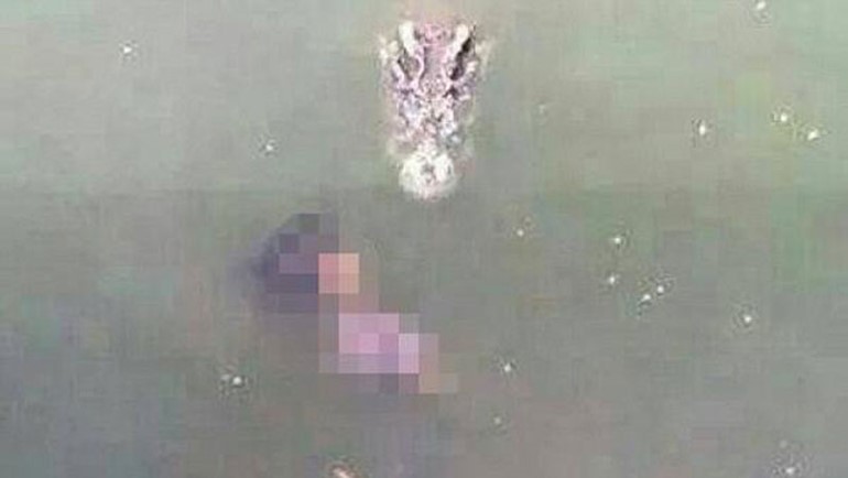 صورة: عجوز تايلاندية تنتحر بإلقاء نفسها وسط ألف تمساح 