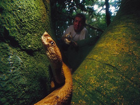 جزيرة الثعابين او Snake Island