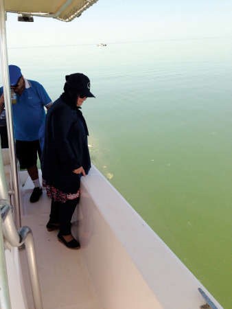 نبيلة الخليل في جولة ميدانية داخل جون الكويت لمتابعة ما اثير عن نفوق الاسماك﻿