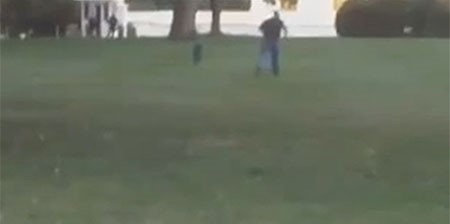بالفيديو.. لحظة رصد الأمن الاميركي لتسلل شخص يدعى "عمر" إلى البيت الأبيض