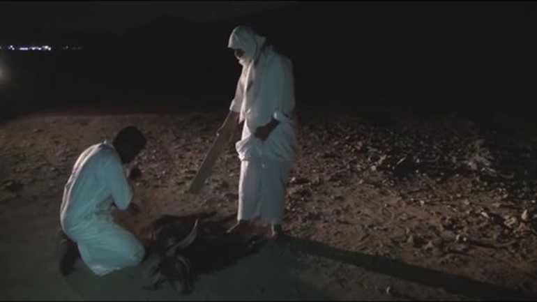بالفيديو.. سعوديون يجبرون آخر على أكل الجيفة لإبراز ذنب "الغيبة"