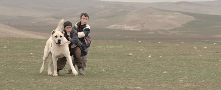 فيلم سيفاس