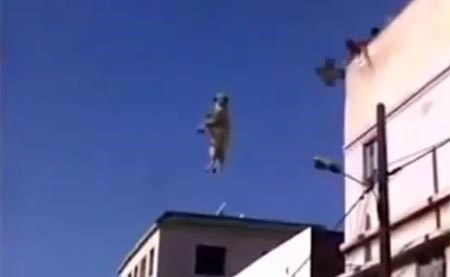 بالفيديو.. خروف العيد يهرب من الذبح ويعلق في الجو