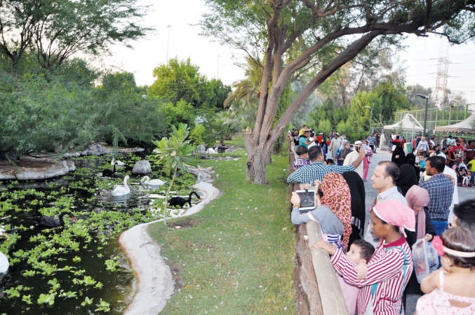 محبو التصوير يجدون ما يشبع رغبتهم امام بحيرة البط والاوز 