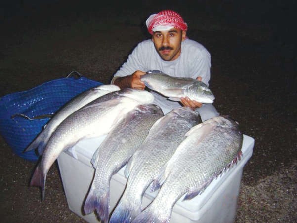 چاولي: النقرور يحرق أصابعك  والسبيطي يغشك  بذكائه