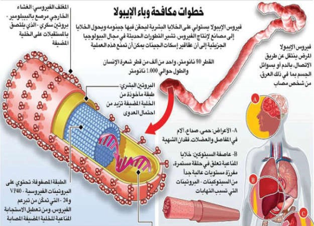 خطوات مكافحة فيروس ايبولا