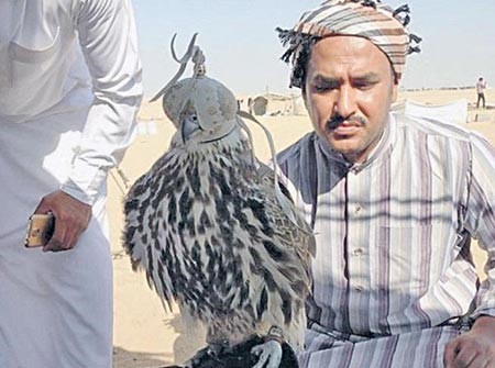 سعودي يصطاد صقراً ويبيعه بمبلغ 210 آلاف ريال