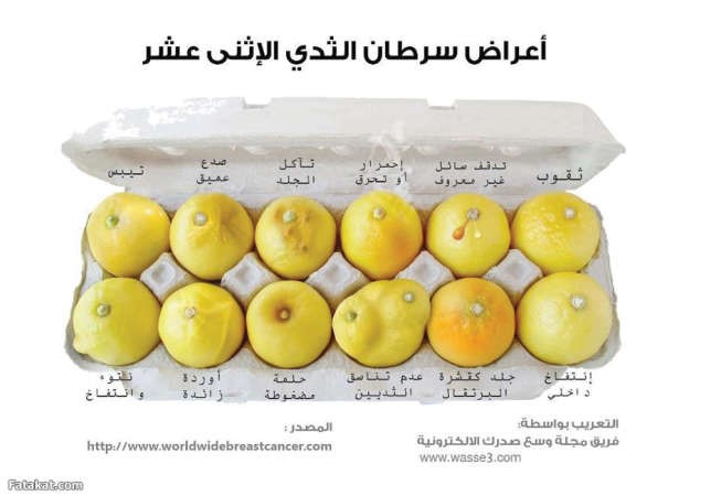 الأمل.. منهج