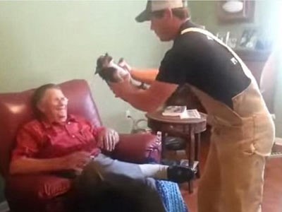 بالفيديو.. كلب "تشيواوا" يتظاهر بالموت